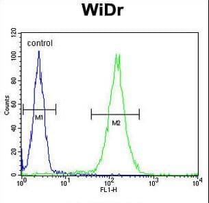 FBXO34 Antibody (aa600-629)