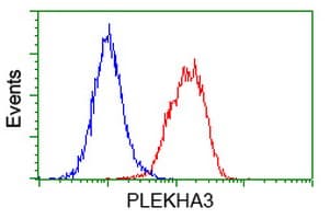 PLEKHA3 Antibody (clone OTI5D11, Carrier-free)