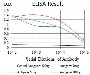 Monoclonal Mouse anti-Human CCL2 / MCP1 Antibody (clone 2D8, IHC, IF, WB)