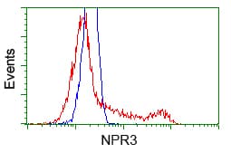 Monoclonal Mouse anti-Human NPR3 Antibody (clone OTI11B6, IHC, IF, WB)