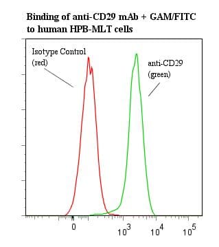 ITGB1 / Integrin Beta 1 / CD29 Antibody (clone 4B7R)