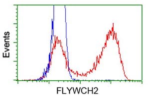 FLYWCH2 Antibody (clone OTI2F5)
