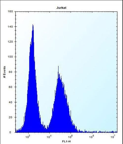 DDIT3 / CHOP Antibody (aa82-110)