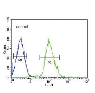 TUBB3 / Tubulin Beta 3 Antibody (aa36-63)