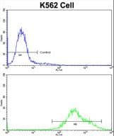 PAX3 Antibody (aa98-126)