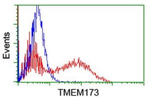 TMEM173 / STING Antibody (clone OTI2C8)