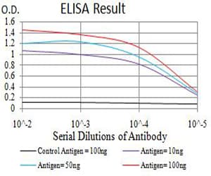 AEBP2 Antibody (clone 2D7B6)