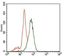 Monoclonal Mouse anti-Human ID2 Antibody (clone 4E12G5, Amino Acid: 1-134, IHC, WB)