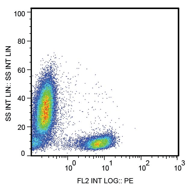 Monoclonal Mouse anti-Human CD28 Antibody (clone CD28.2, IHC, WB)