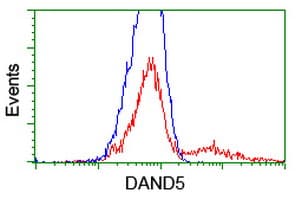 DAND5 Antibody (clone OTI2H3)