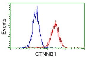 CTNNB1 / Beta Catenin Antibody (clone UMAB14)