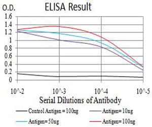 AXIN1 / Axin-1 Antibody (clone 4E9F1)