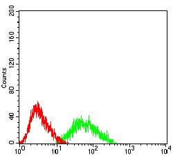 CTNNBL1 / NAP Antibody (clone 3C7F9)