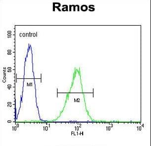 Polyclonal Rabbit anti-Human HIP1R Antibody (aa98-126, IHC, WB)