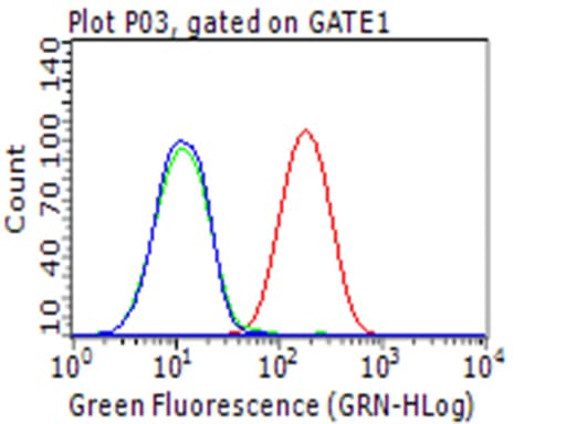 Monoclonal Mouse anti-Human CD274 / B7-H1 / PD-L1 Antibody (clone OTI2C11, Carrier-free, WB)