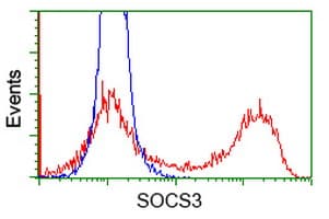 SOCS3 Antibody (clone OTI5D4)