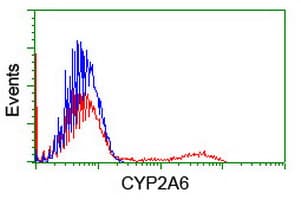CYP2A6 Antibody (clone OTI2A8)