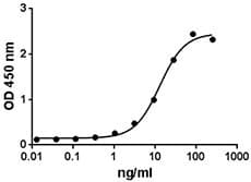 Human CD27L / CD70 Protein (Recombinant)