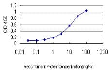 DRPLA / Atrophin-1 Antibody (clone 2C10)