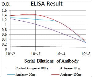 TRAFD1 / FLN29 Antibody (aa401-582, clone 8E6E7)
