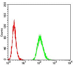 Monoclonal Mouse anti-Human c-Met Antibody (clone 5E9C4, IHC, IF, WB)