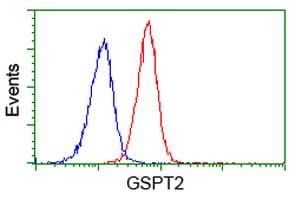 GSPT2 Antibody (clone OTI2G9)