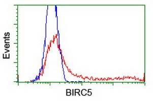 BIRC5 / Survivin Antibody (clone OTI2D3, Carrier-free)