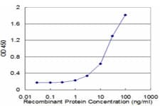 ETF1 / ERF1 Antibody (clone 2H4)