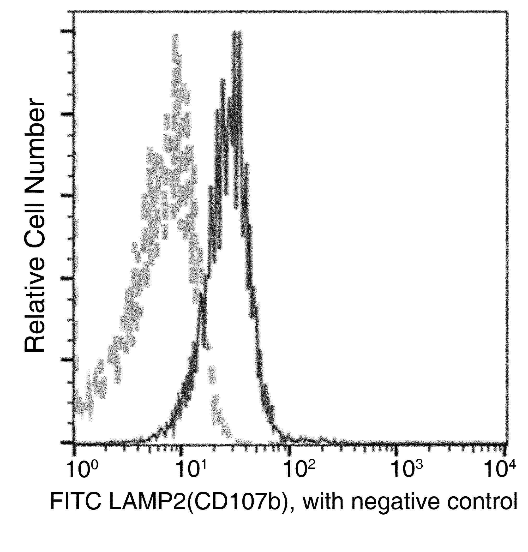 LAMP2 / CD107b Antibody (clone 141, FITC)