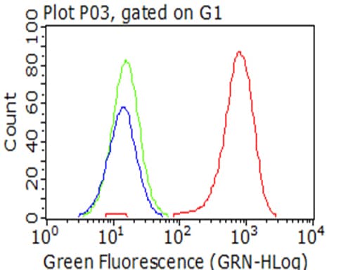 ITGB1 / Integrin Beta 1 / CD29 Antibody (clone OTI9B5)