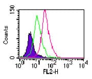 Polyclonal Rabbit anti-Mouse Tlr11 Antibody (aa900-950, WB)
