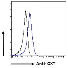 Oxytocin Antibody (aa108-120)