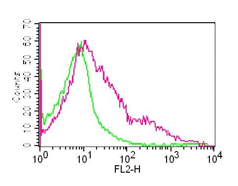 FR4 / Folate Receptor 4 Antibody (clone 12A5)