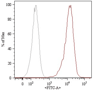 CD105 Antibody (clone MEM-226, FITC)