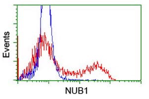 NUB1 Antibody (clone OTI1F3)