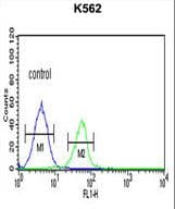PLA2G4B Antibody (aa396-424)