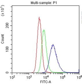 CD30L / CD153 Antibody (aa63-234)