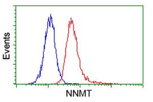 IHC-plus™ NNMT Antibody (clone 3E3)