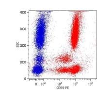 CD59 Antibody (clone MEM-43, Biotin)