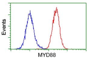 IHC-plus™ MYD88 Antibody (clone 1B4)