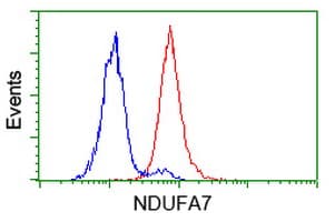 NDUFA7 Antibody (clone OTI3B2)