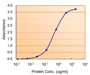IHC-plus™ Polyclonal Goat anti-Human COMT Antibody (aa170-183, IHC, WB)