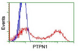 PTP1B Antibody (clone OTI2G3, Carrier-free)