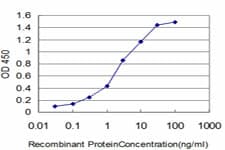 HELZ Antibody (clone 5B2)