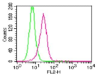 IL-1B / IL-1 Beta Antibody