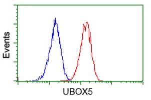 UBOX5 Antibody (clone OTI5A2)