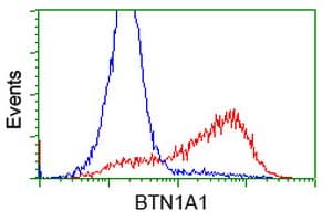 BTN1A1 Antibody (clone OTI3A12)
