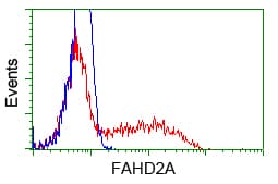 FAHD2A Antibody (clone OTI9D4, Carrier-free)