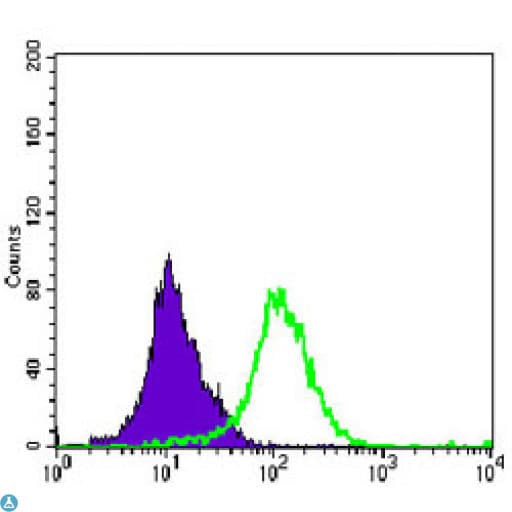 MAP2K4 / MKK4 Antibody
