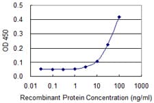 SCG5 / 7B2 Antibody (clone 8G11)